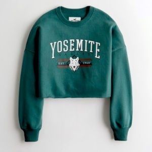 IN SEARCH OF: M or L Green Yosemite Hollister Cropped Sweater